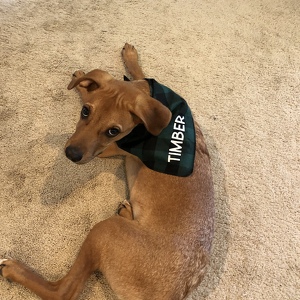 Fundraising Page: Maggie Thompson